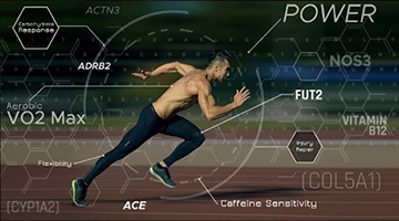 Kin_performance_360_200